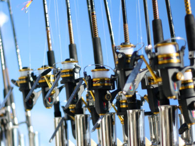 Some of the Best Fishing Rods available today with golden reels and clear line