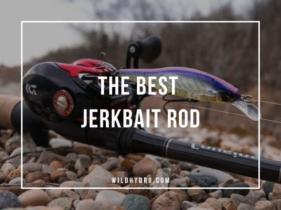 Buyer's Guide to the Best Jerkbait Rod