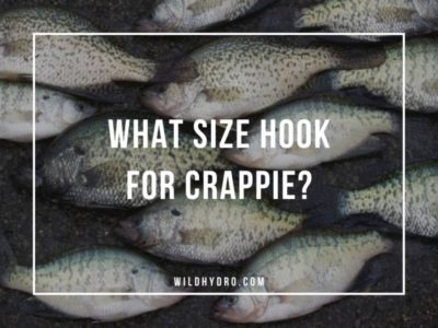 The best size hook for crappie landed all these fish