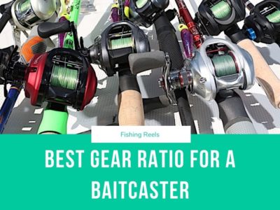 The Best Gear Ratio for a Baitcaster used on Buzzbaits, Crankbaits and Spinnerbaits
