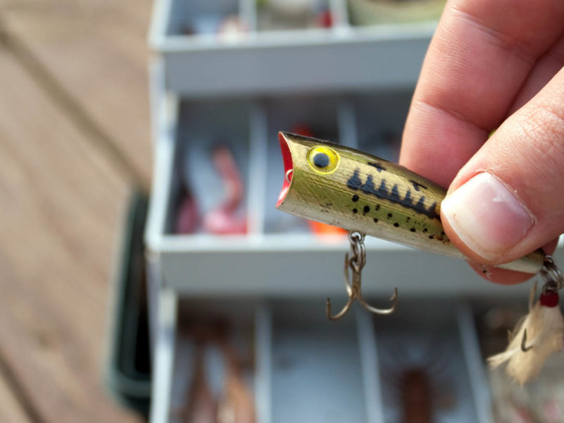 The Best Spring Bass Lure Colors for Sunny or Cloudy weather in Clear or Murky Water