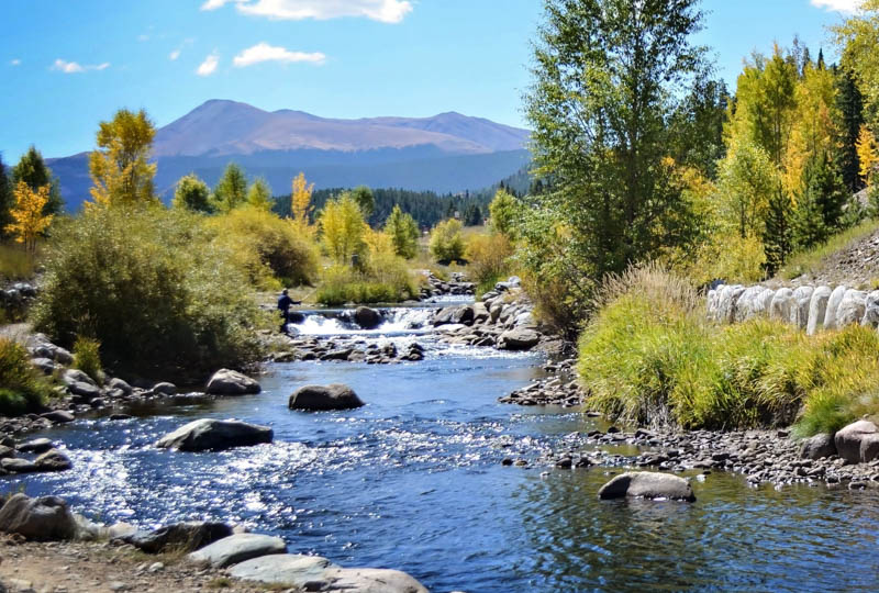 Blue River Fishing Reports Colorado