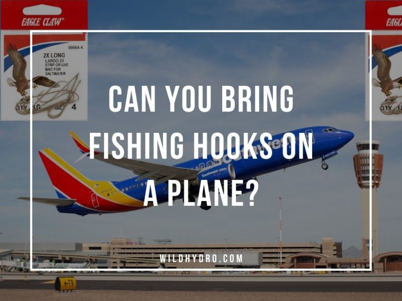We review TSA advice to answer can you bring fishing hooks on a plane