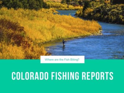 Our Colorado Fishing Reports show you the best fishing near you