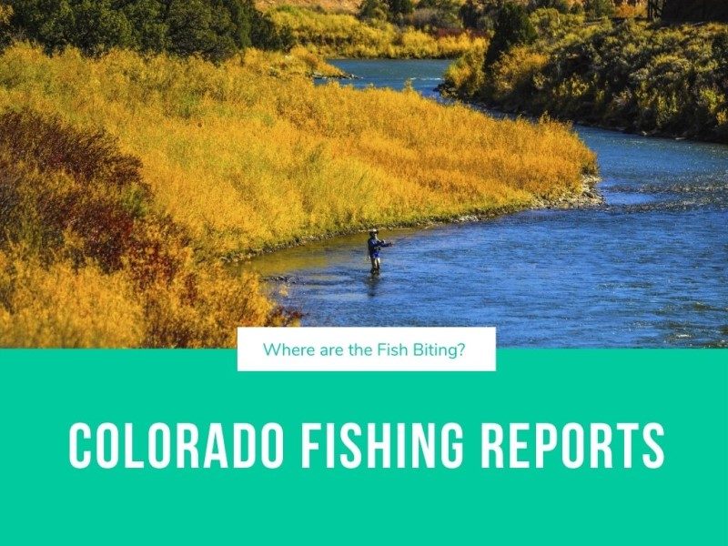 Our Colorado Fishing Reports show you the best fishing near you