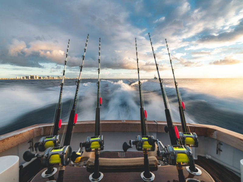 Wild Hydro reviews the Best Fishing Rods, Reels and Lures for the money