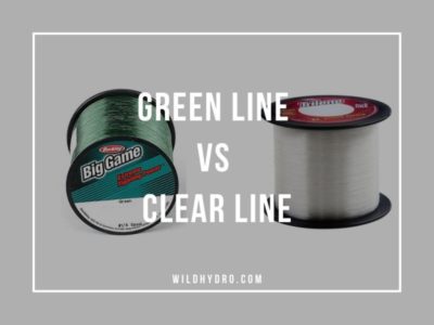 Which is less visible to fish, green fishing line vs clear fishing line?