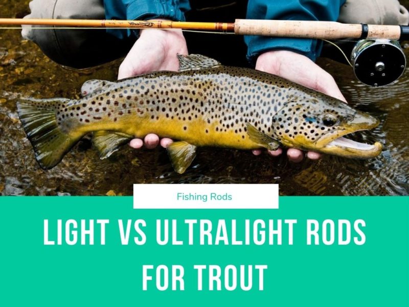 Which is better a Light vs Ultralight Rod for Trout fishing