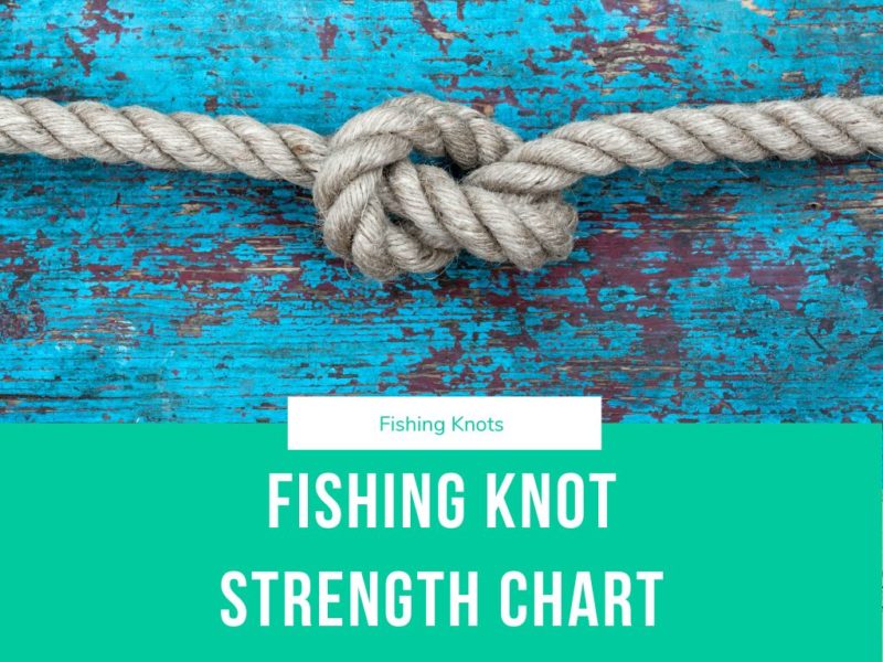 Fishing Knot Strength Chart: The Strongest Knots for Monofilament, Braided and Fluorocarbon Fishing Lines