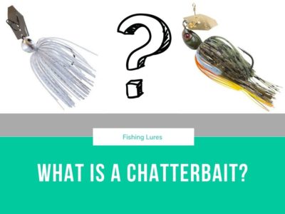 We look at what is a Chatterbait, when to throw a chatterbait, and where is best to fish with a chatterbait bladed jig lure