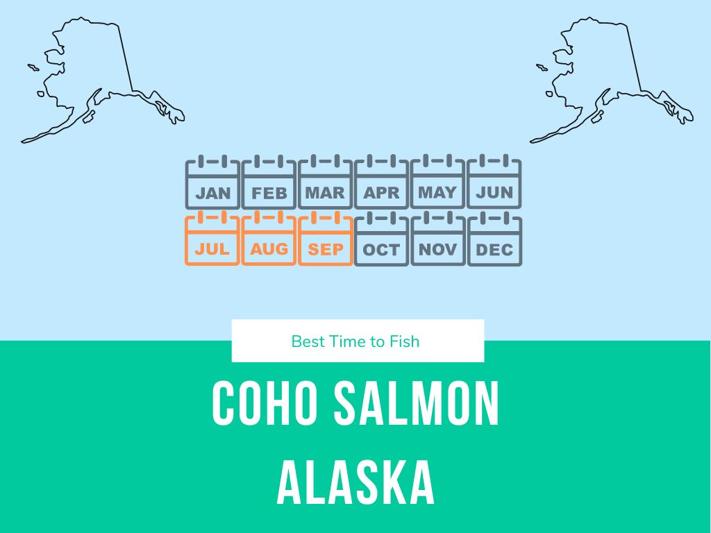 The best fishing times for coho salmon in alaska is in July August and September