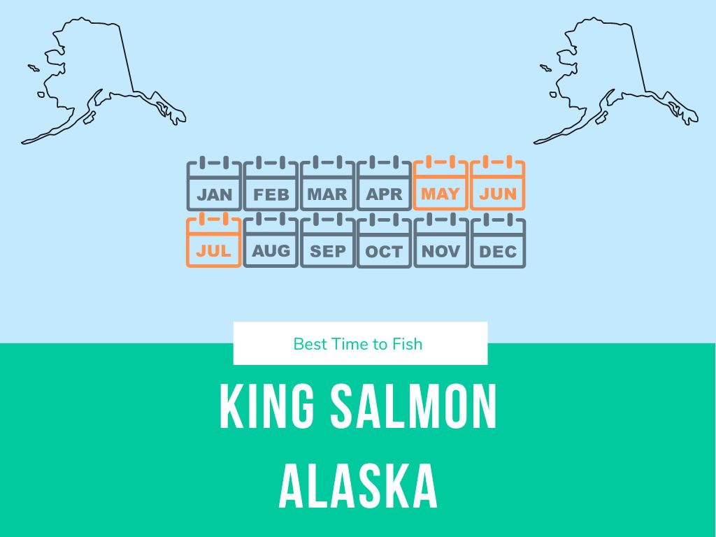 May through July is the best time to fish for king salmon in alaska, also known as chinook salmon