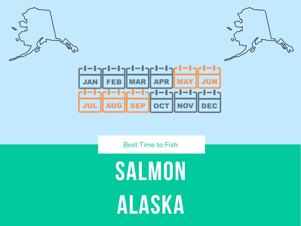 The best time for salmon fishing in alaska is during the summertime, starting in May and running until September.