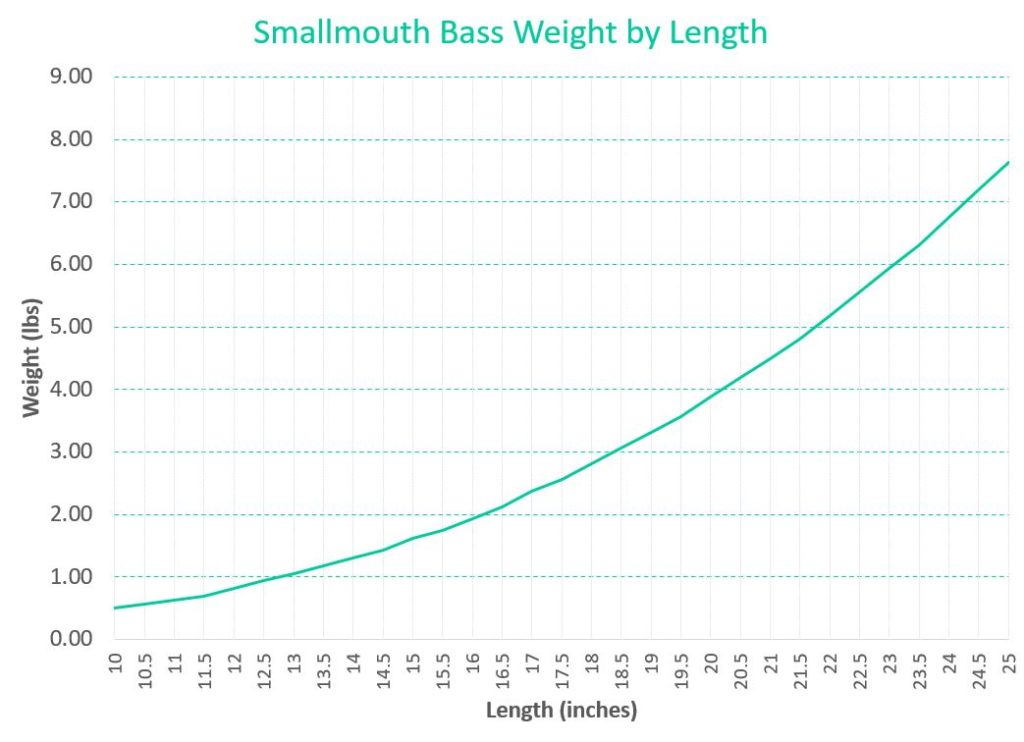 A chart showing the relationship between the size of a smallmouth bass and how much it weighs