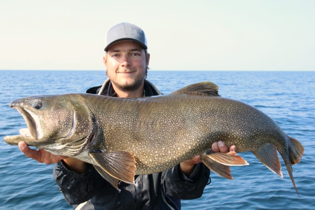 World record breaking trout have been caught while trout fishing in MI