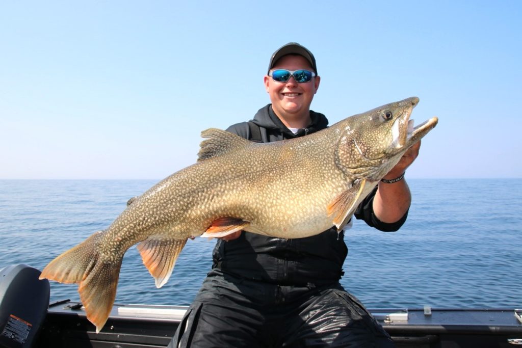 Lake Trout caught while fishing in Michigan