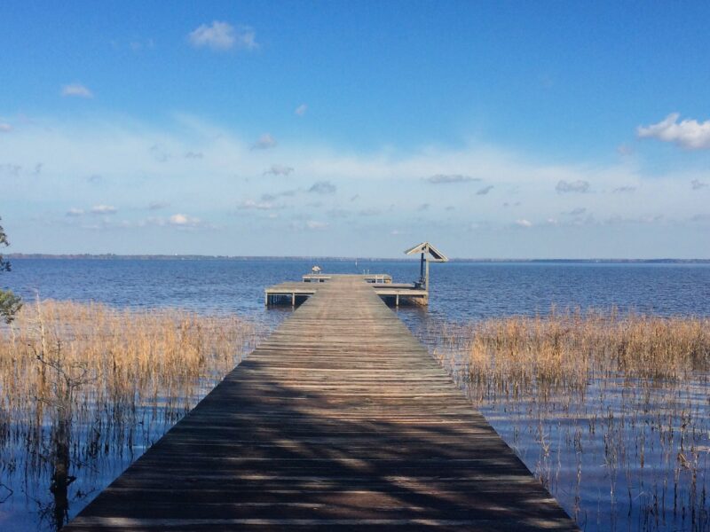 Lake Waccamaw Fishing offer the best perch catches in North Carolina