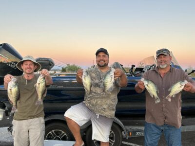 Crappie Fishing in Arizona